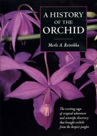 A History of the Orchid 